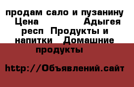 продам сало и пузанину › Цена ­ 150-200 - Адыгея респ. Продукты и напитки » Домашние продукты   